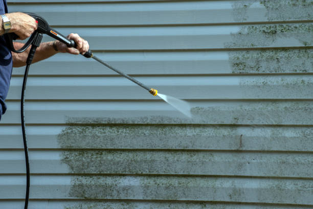 Best Vinyl Siding Pressure Washing in , MD